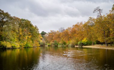 Bois de Vincennes, Fransa 'nın Paris kentinde Sonbahar Renkleri ile Picturesque Park