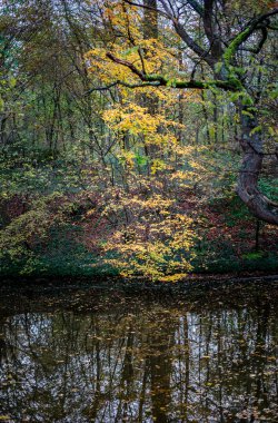 Bois de Vincennes, Picturesque Park with Autumn Colors in Paris, France clipart