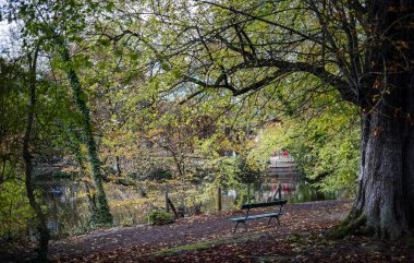 Bois de Vincennes, Picturesque Park with Autumn Colors in Paris, France clipart