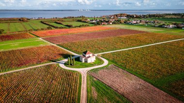 Medoc Peyzaj, Gironde, Fransa 'da balıkçı kulübeleri ve şaraphaneleri