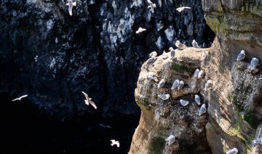 Grundarfjordur manzarası, Snaefellsnes Yarımadası, İzlanda