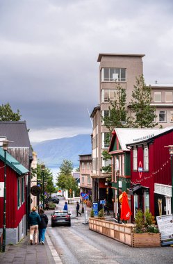 Reykjavik, İzlanda - 28 Temmuz 2024: Renkli binalarla tarihi şehir manzarası 