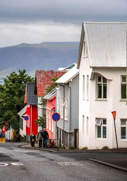 Reykjavik, İzlanda - 28 Temmuz 2024: Renkli binalarla tarihi şehir manzarası 