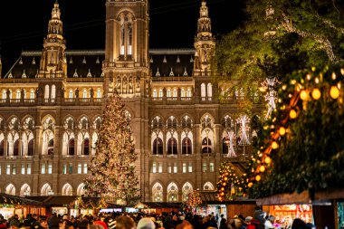 Viyana, Avusturya - 24 Kasım 2024: Eski güzel şehrin Noel manzarası