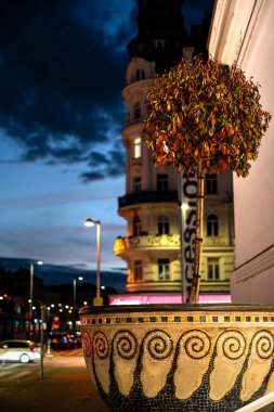 Viyana, Avusturya - 24 Kasım 2024: Geceleri güzel eski kasaba manzarası