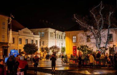 Timisoara, Romanya - 10 Aralık 2024: Yılbaşı zamanı tarihi merkez