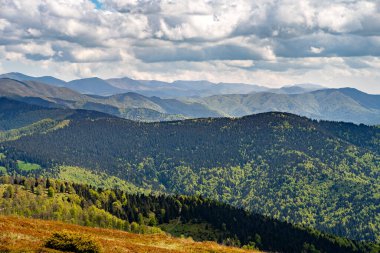 Batı Romanya 'daki Muntele Mic manzaralarının manzarası