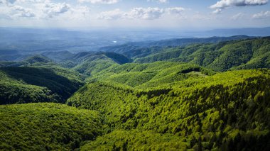 Batı Romanya 'daki Muntele Mic manzaralarının manzarası