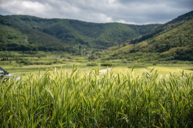Mrginimea Sibiului manzarası, Romanya, HDR Görüntü