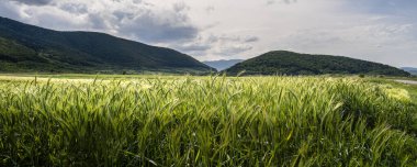 Mrginimea Sibiului manzarası, Romanya, HDR Görüntü