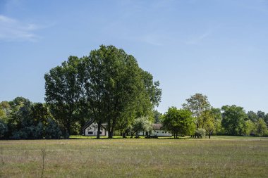 Bugac manzarası, Orta Macaristan, HDR Görüntü