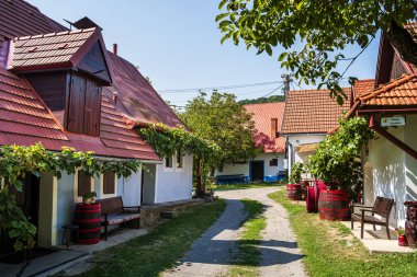 Stara Hora, Slovakya - 13 Ağustos 2024: Yazın tarihi köy, HDR Görüntü