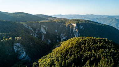 Sırbistan 'ın sonbaharda Tara Ulusal Parkı manzarası