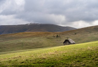 Sırbistan 'ın Zlatibor kentinde güzel doğa manzarası