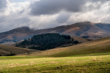 Sırbistan 'ın Zlatibor kentinde güzel doğa manzarası