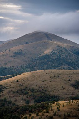 Sırbistan 'ın Zlatibor kentinde güzel doğa manzarası