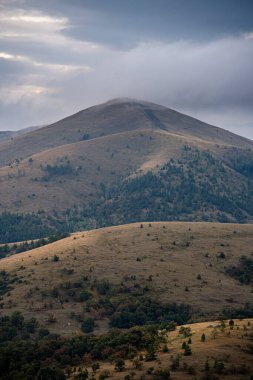 Beautiful nature landscape in Zlatibor, Serbia clipart