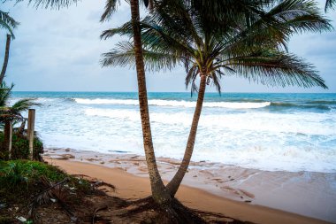 Terengganu Sahil Çizgisi, Malezya, HDR Görünümü