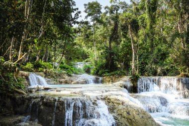 Kuang Si Şelalesi, Luang Prabang Bölgesi, Laos