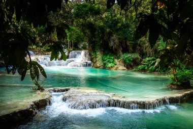 Kuang Si Şelalesi, Luang Prabang Bölgesi, Laos