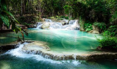 Kuang Si Şelalesi, Luang Prabang Bölgesi, Laos