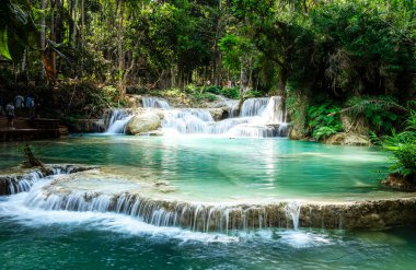 Kuang Si Şelalesi, Luang Prabang Bölgesi, Laos