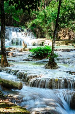 Kuang Si Şelalesi, Luang Prabang Bölgesi, Laos