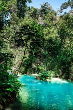 Kuang Si Şelalesi, Luang Prabang Bölgesi, Laos