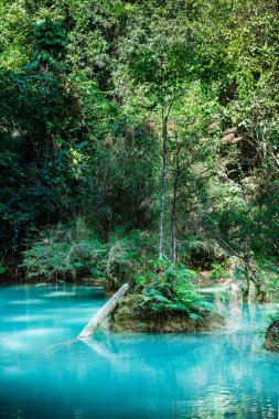 Kuang Si Şelalesi, Luang Prabang Bölgesi, Laos