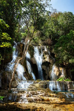Kuang Si Şelalesi, Luang Prabang Bölgesi, Laos