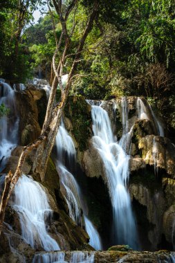 Kuang Si Şelalesi, Luang Prabang Bölgesi, Laos