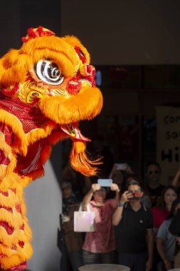 Kuala Lumpur, Malezya - 4 Şubat 2025 Yeni Yıl için Ejderha Dansı Şovu
