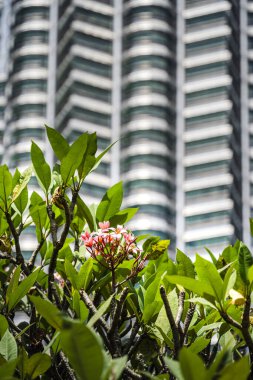 Kuala Lumpur, Malezya - 9 Şubat 2025: Kuala Lumpur Şehir Merkezi