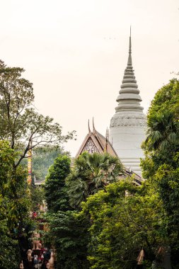 Wat Phnom Daun Penh, Budist tapınağı Phnom Penh, Kamboçya