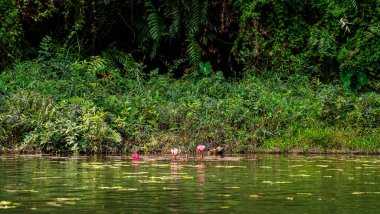 Trang An Manzarası, Vietnam 'daki Miras Bölgesi