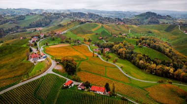 Güney Avusturya 'daki Styria Şarap Rotası' nın Uçak Manzarası