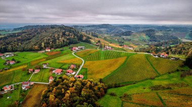 Güney Avusturya 'daki Styria Şarap Rotası' nın Uçak Manzarası