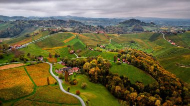 Güney Avusturya 'daki Styria Şarap Rotası' nın Uçak Manzarası