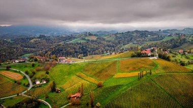 Güney Avusturya 'daki Styria Şarap Rotası' nın Uçak Manzarası