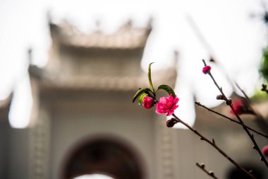 Hanoi, Vietnam - 20 Ocak 2025 Quan Thanh Tapınağı Bulutlu havada