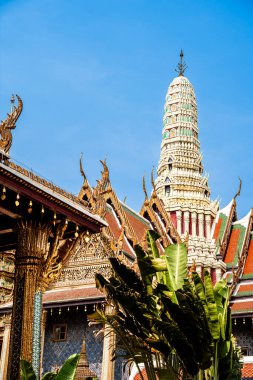 Bangkok, Tayland - 5 Şubat 2025 Sunny Weather Kraliyet Sarayı