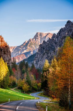 Avusturya 'nın Styria kentindeki Gesause Ulusal Parkı' nın güzel doğa manzarası