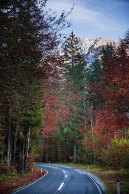 Avusturya 'nın Styria kentindeki Gesause Ulusal Parkı' nın güzel doğa manzarası