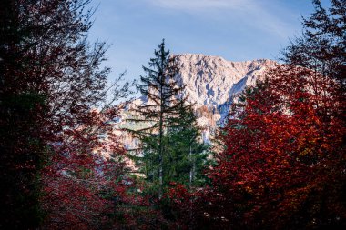 Avusturya 'nın Styria kentindeki Gesause Ulusal Parkı' nın güzel doğa manzarası