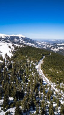 Karla kaplı ağaçlarla kaplı kış manzarası, Prislop Geçidi, Romanya