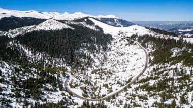 Karla kaplı ağaçlarla kaplı kış manzarası, Prislop Geçidi, Romanya