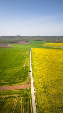 Enisala Manzarası, Dobrudja, Doğu Romanya