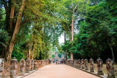 Angkor, Kamboçya - 26 Ocak 2025: Kamboçya 'daki Preah Khan Tapınağı' nın antik kalıntıları