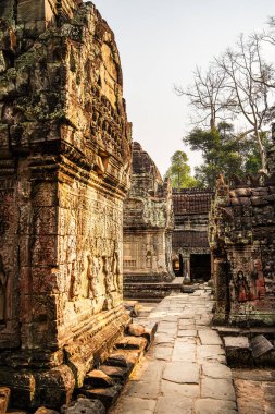 Angkor, Kamboçya - 26 Ocak 2025: Kamboçya 'daki Preah Khan Tapınağı' nın antik kalıntıları