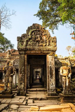 Angkor, Kamboçya - 26 Ocak 2025: Kamboçya 'daki Preah Khan Tapınağı' nın antik kalıntıları